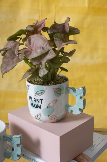 http://graycefloral.com/cdn/shop/products/PlantMomMug_600x.jpg?v=1646426888