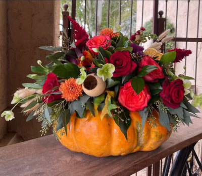 Blooming Pumpkins