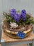 Chic Gold Seasonal Potted Blooms