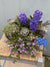 Farmhouse Style Seasonal Potted Blooms