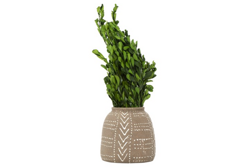 Preserved Boxwood Bunch