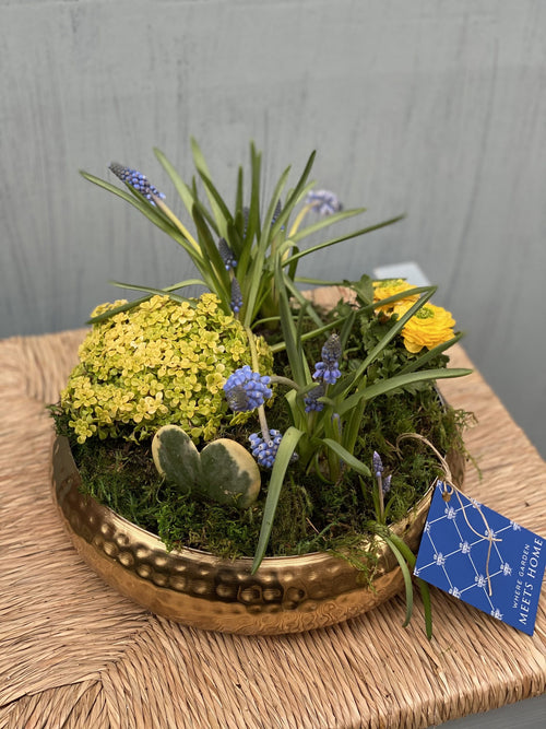 Boho Style Seasonal Potted Blooms