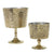 Contessa Compote Small