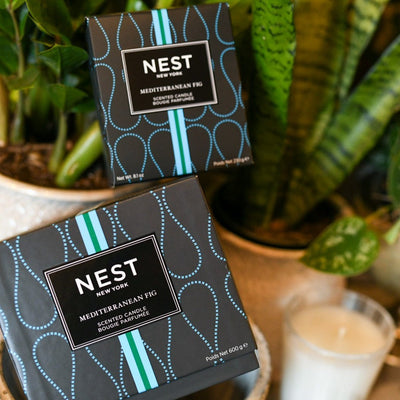 NEST Candle