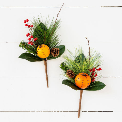 Cloved Orange and Pine Pick