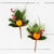 Cloved Orange and Pine Pick