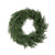 Frosted Cypress Wreath
